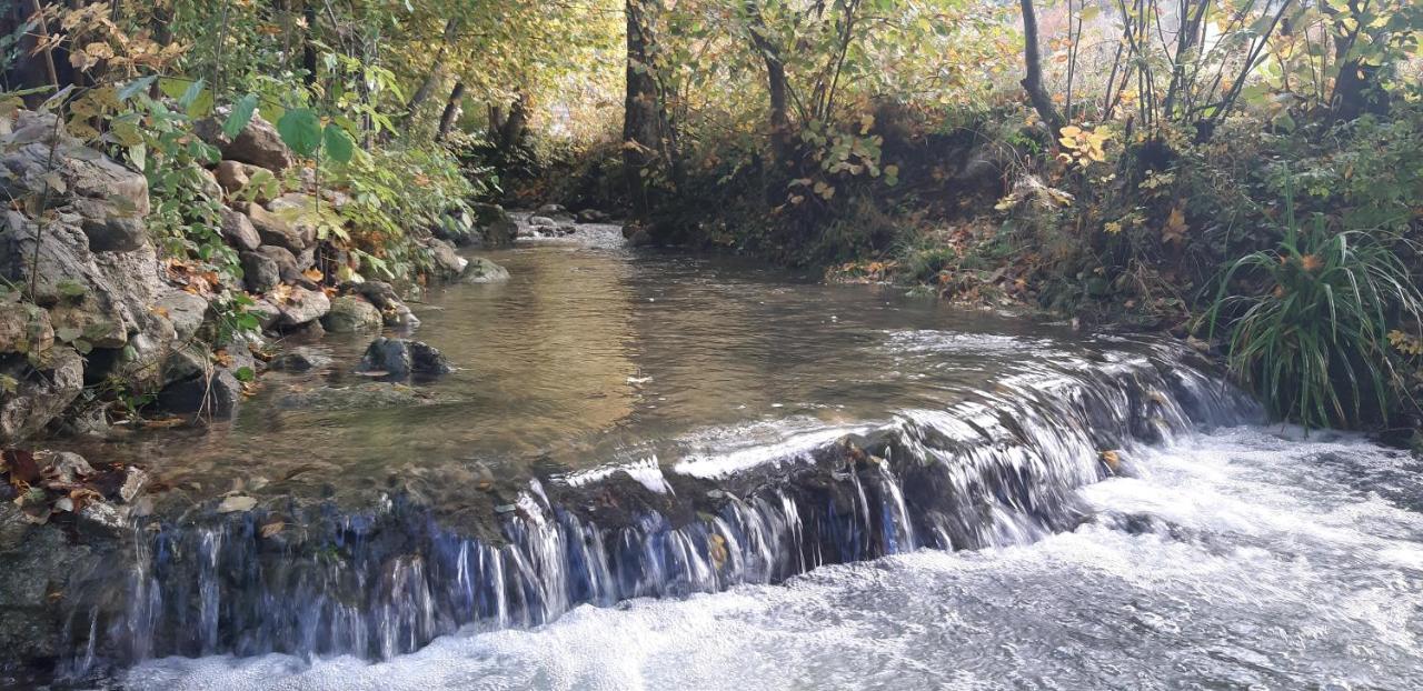 Live Nature Bihać Eksteriør billede