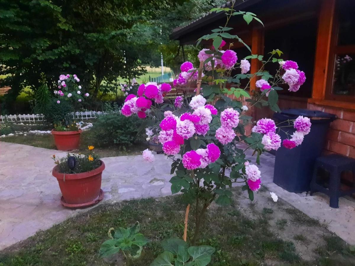 Live Nature Bihać Eksteriør billede